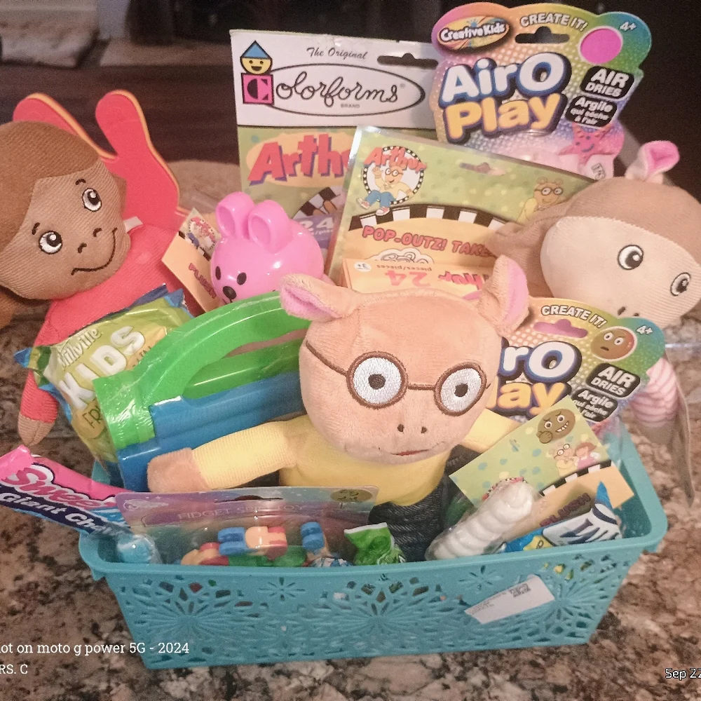 Kids Toy  Arthur DW Custom Kids Basket - Picture 4 of 6